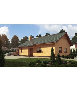 Fasadinės klinkerio plytelės HF13 Amber sea bauresta