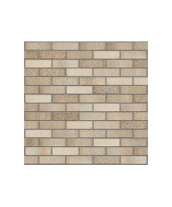 Fasadinės klinkerio plytelės HF61 Sand pepper Bauresta