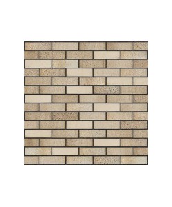 Fasadinės klinkerio plytelės HF61 Sand pepper Bauresta